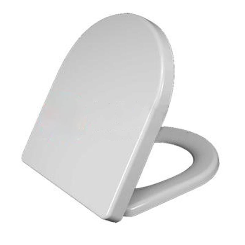 TOILET SEAT COVER MOLD